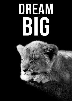 Dream Big quote lion cub