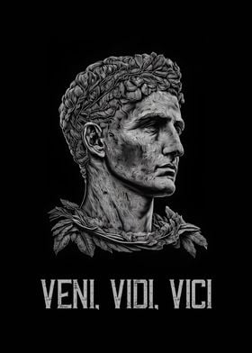 Veni, Vidi, Vici Julius Caesar Quote Poster  Caesar quotes, Quote posters,  Roman quotes