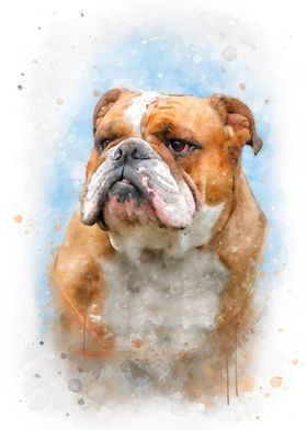 English Bulldog watercolor