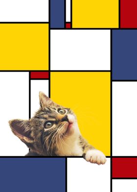 Abstract Art Funny Cat