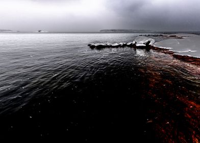 Winter at sea shore