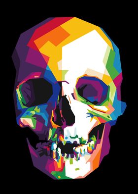 Colorful skull head vector