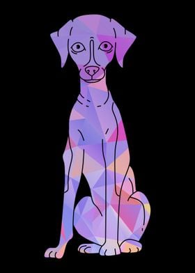 Colorful Whippet