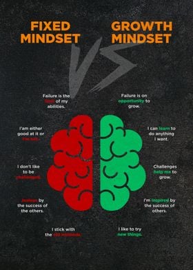 Fixed and Growth Mindset