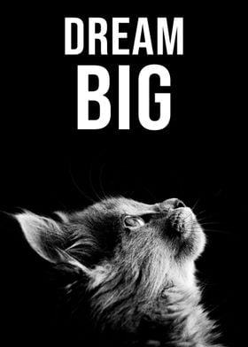 Dream Big quote kitten