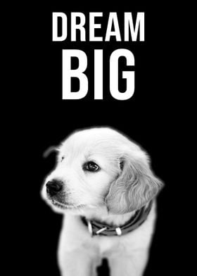 Dream Big quote Labrador