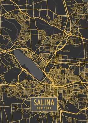 Salina