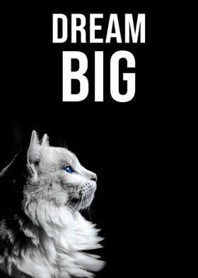 Dream Big quote white cat