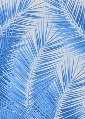 Blue Silver Gray Palm 1a