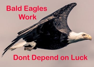 Eagles Work