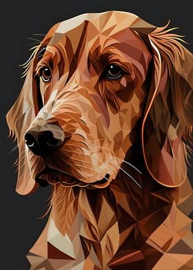 Golden Retriever dog