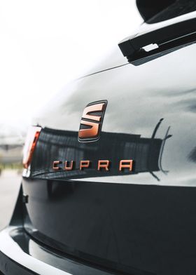 Seat Leon Cupra R V1