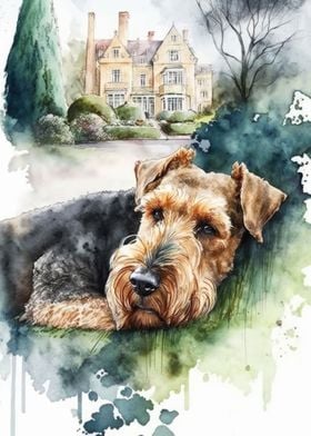 Airedale sleeps in garden