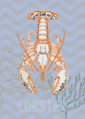 Sea life lobster