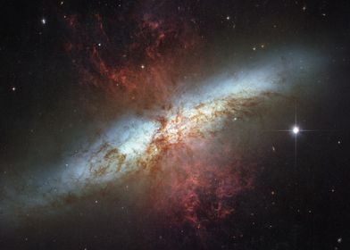 A Large Web in M82 HST ACS