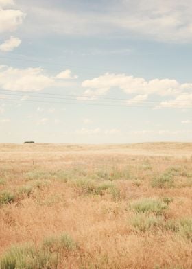 Colorado Prairie
