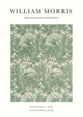 William Morris Tulip