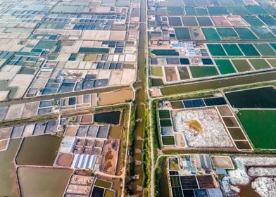 Shrimp farms in Vietnam