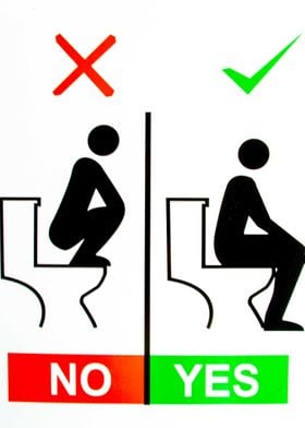 How to use a toilet