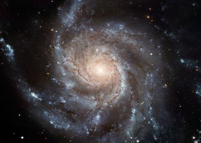 The Pinwheel Galaxy