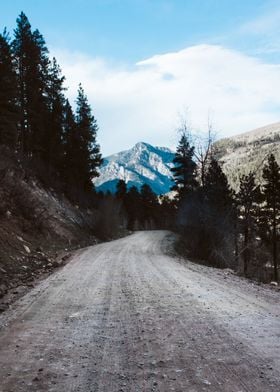 Road to the Mountains