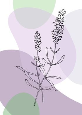 Lavender  Minimalist