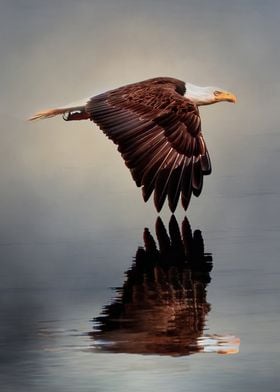 Bald Eagle Precision 