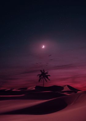 Night desert