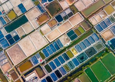 Shrimp farms in Vietnam