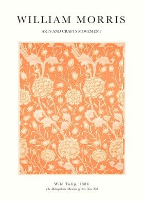 William Morris Orange