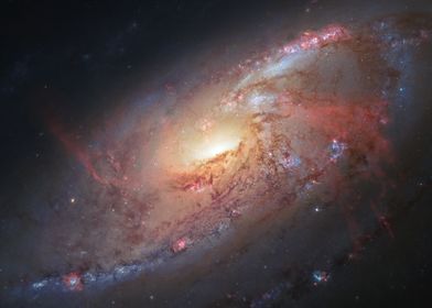 A Spiral Galaxy