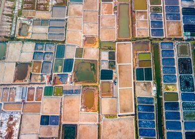 Shrimp farms in Vietnam