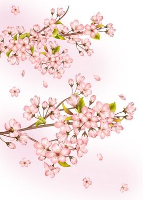 Cherry Blossom Tree