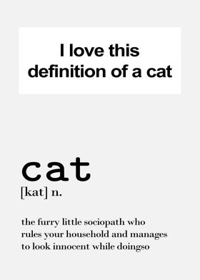 definition of cat