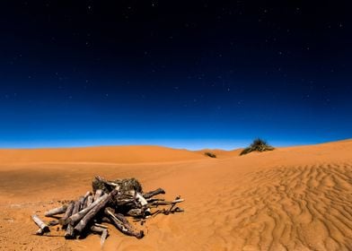 night in sahara