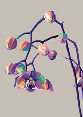 Orchid in Pop art