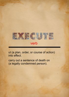 Execute Definition