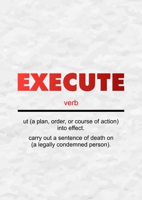 Execute Definition