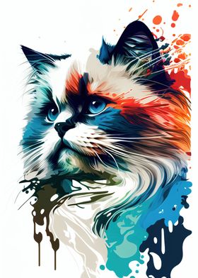 Colorful Ragdoll Cute Cat