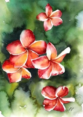 Watercolor plumeria