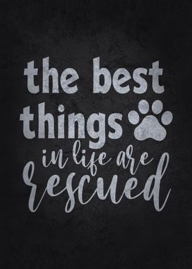 Best Things Are Rescued 