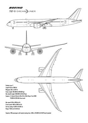 Boeing 787 Dreamliner Jet