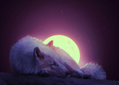 Sleeping Wolf