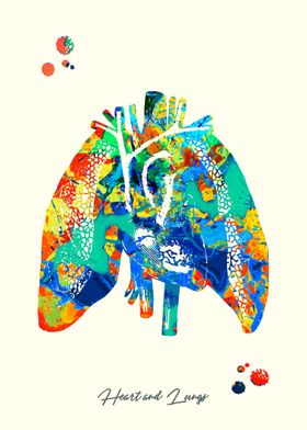 Heart and Lungs