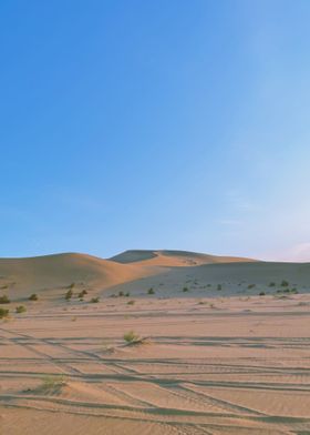 great desert