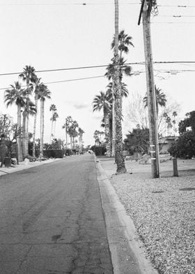 Palm Springs Street 35mm