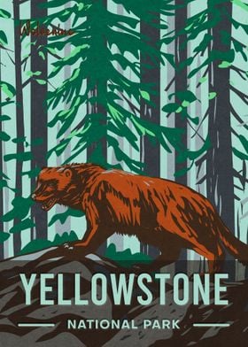 Yellowstone Wolverine