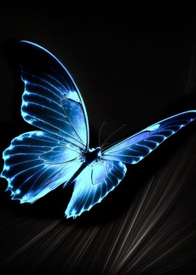 Butterfly Sky Night