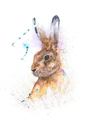 The Hare II