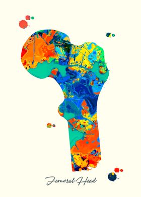 Femoral Head